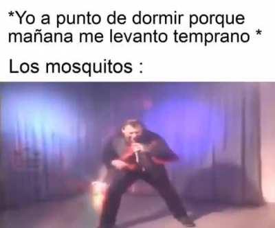 Mosquitos hijos de yuta.