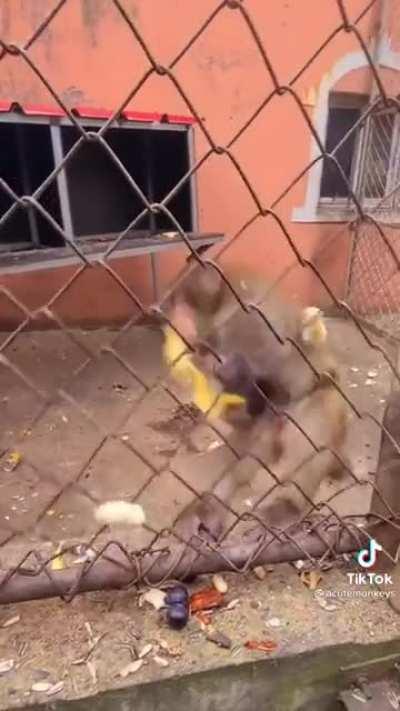 teenagersnew - Video #7285