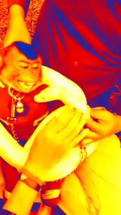 Papu, Despierta es hora que despiertes, papu