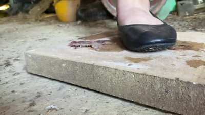 GF Flats fish squish