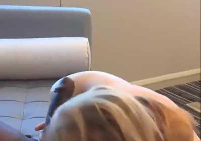 When Your Girlfriend Cheats On You With BBC Bully