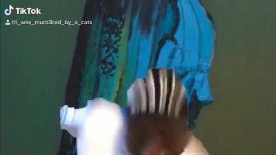 Someone requested this