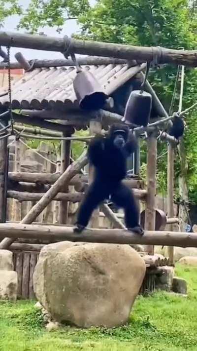 For many years I thought that a specially trained person ring the bell while praying in the church. It turns out not a person🤣🤣🤣🤣🤣