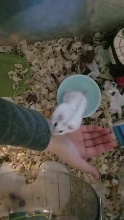 you've got a friend in me ❤️