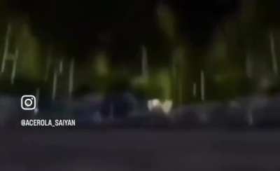 Ribombee did not survive