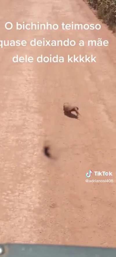 Eita moleque desobediente