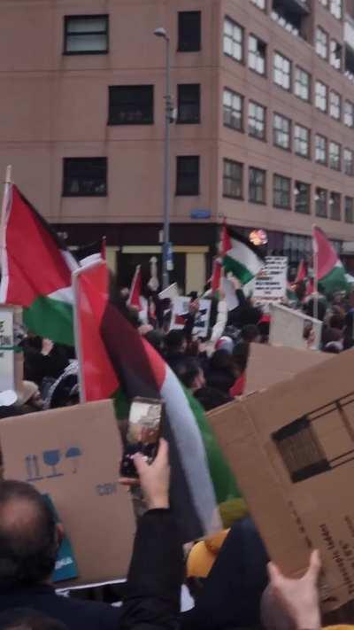 Rotterdam stands with Palestine 