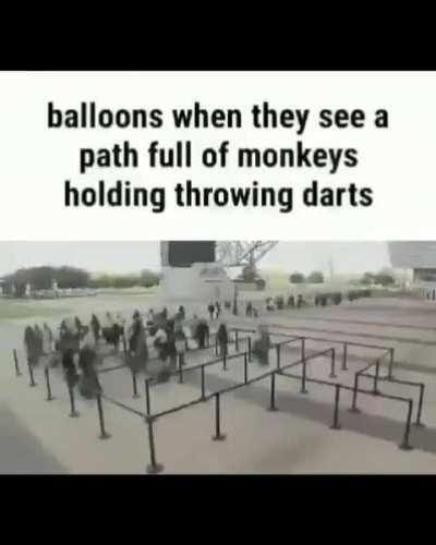 2iq bloons 