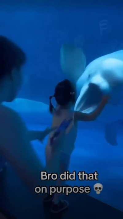 Little girl wasn't expecting the Beluga