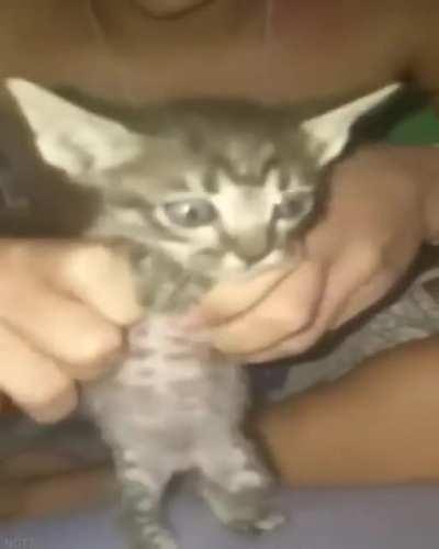 Luangameplay666 - Video #0007