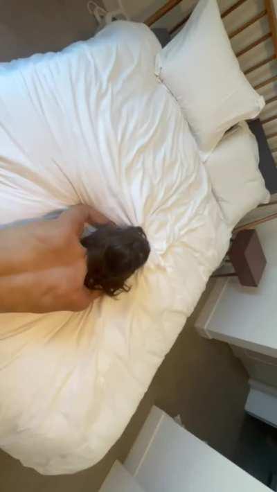 first glimpse of us doing anal 😇 peep the comments if you want to see the whole video…