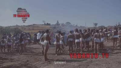 Contact for full part