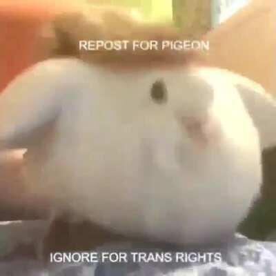 Fuck posting to an appropriate sub