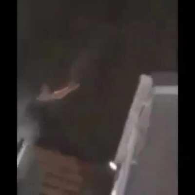 pyrocynical - Video #7529