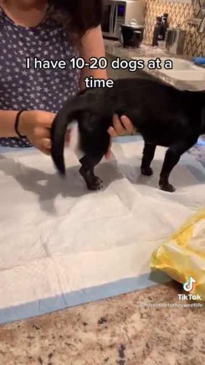 People like this remind me there really are still good people left in this world who care just as much about helping as they do themselves. Help where you can.