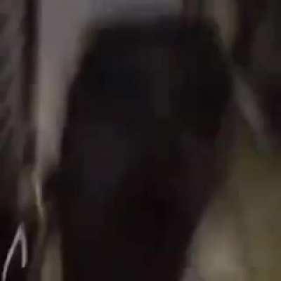 FALLIN DOWN DA STAIRS