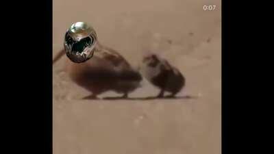 When the music kicks in