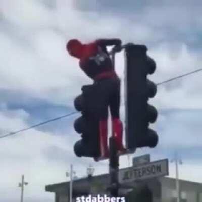 Holup Spiderman lookin THICC