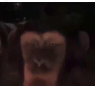 Who’s toes are those?