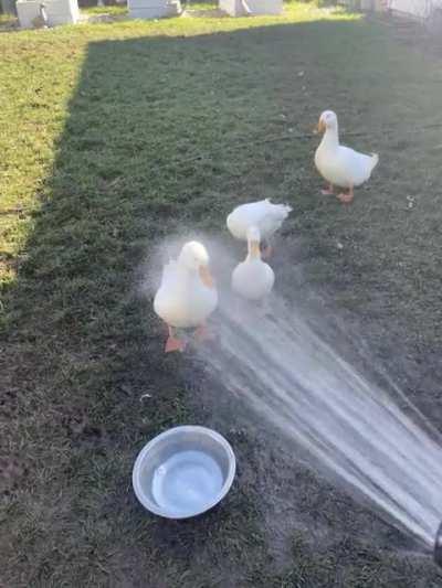 Shower time with audio!
