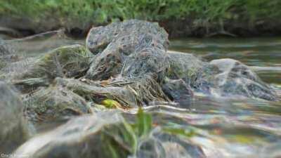 Yoooooo 👁👄👁