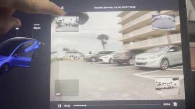 Tesla hate is real.. check out this drunk freak from NC break off the drivers side window of my week old Tesla and then reach in grab my arm bruising it and grabbed my phone and threw it to the ground. Thanks to sentry… he’s now been charged w assault van