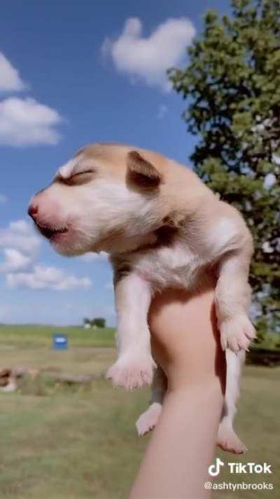 Just tryna spread the love to one of the dang cutest subreddits there is