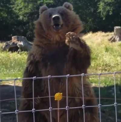 Based beer⁉️⁉️⁉️⁉️⁉️⁉️