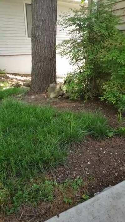 A morning hello at the lake :)