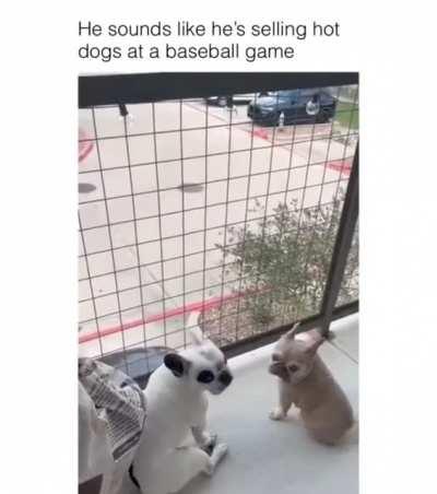 Мама: у нас есть мечеть дома.