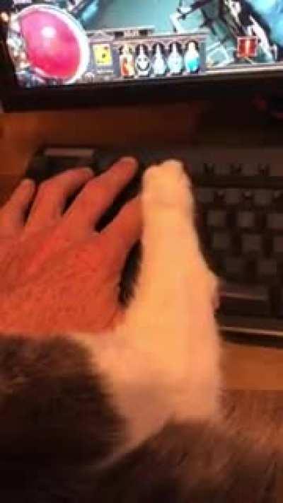 who needs a flask macro..