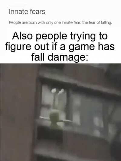 zoomin towards the ground