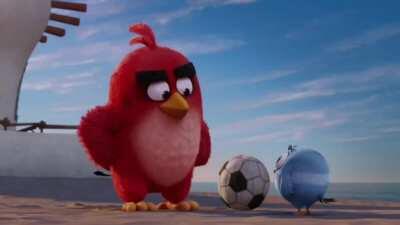 THE BIRD BEHIND THE SLAUGHTER