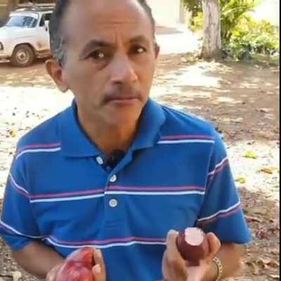 Caneta Pátria ou Capitão Azul?