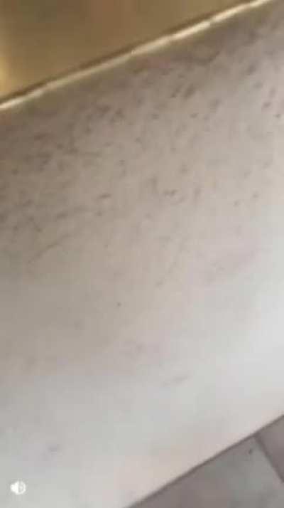 Racist Entitled Woman Doesn't Let Postmate Delivery Guy Deliver The Food