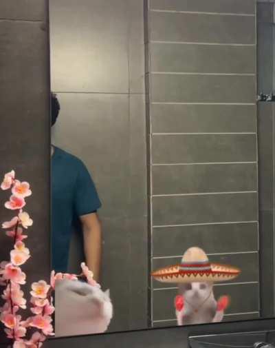 Meme trends nowadays 😭