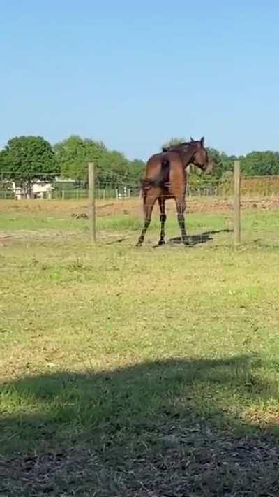 Зачесалось...