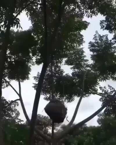 Bear Grylls is afraid to diss