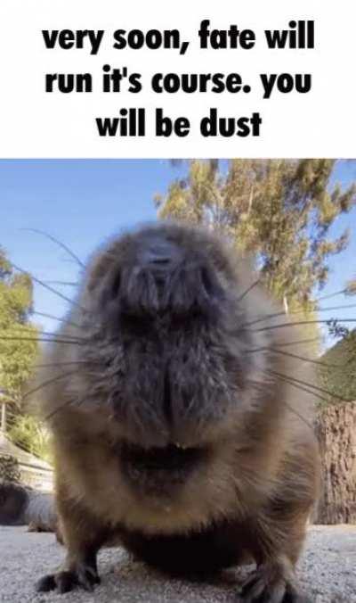 a Daily Reminder to you all 👍