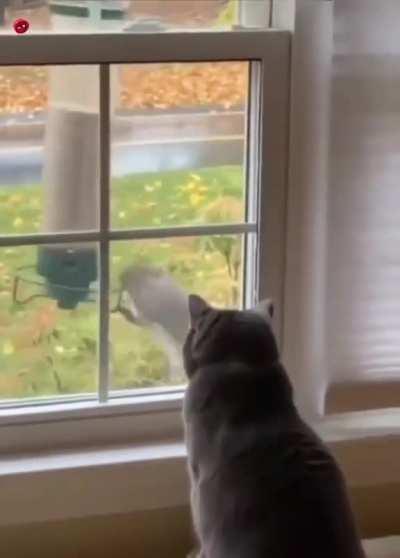 “I can watch this all day.” — Cat.