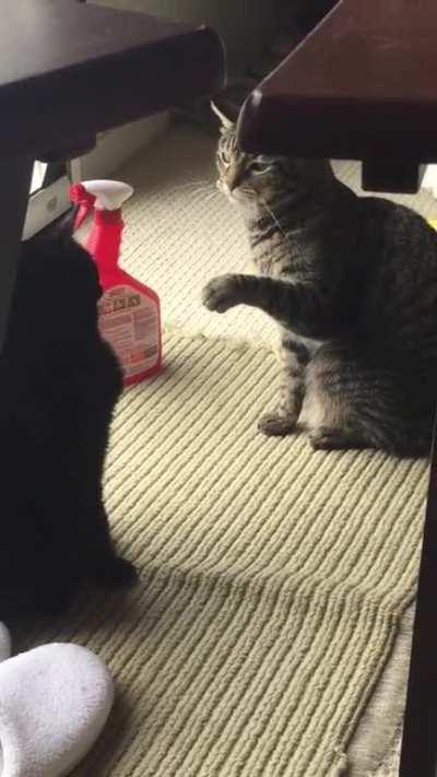 Social distancing slaps