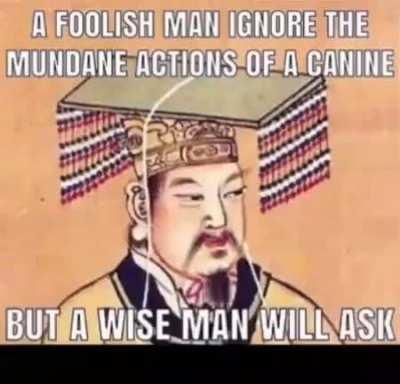 sun tzu the art of war qwote