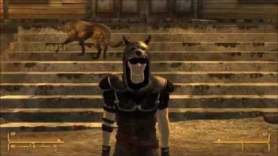 Vulpes responds to getting banned from Nipton