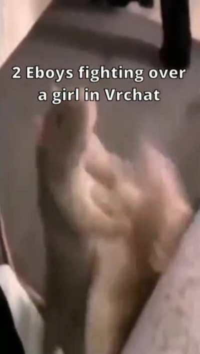 Guys fighting over Egirls in VRChat