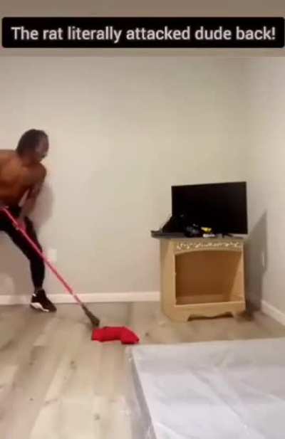 Ratatouille 2: Vengeance