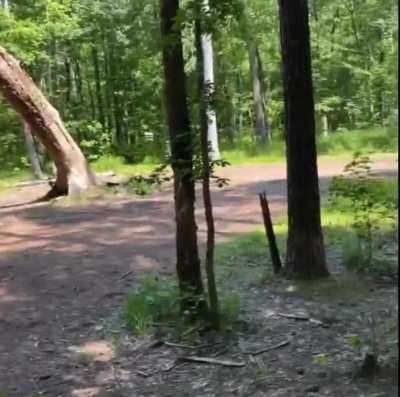 2 in a row from 140ft