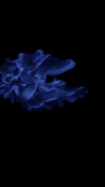 Vodka burning in the sun vs. at night