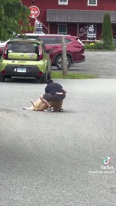 Doggo doesn’t want his day at the brewery to end 