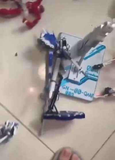 kid destroys gundam collection