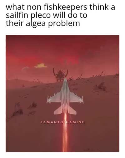 Pray for the impuls bought boys